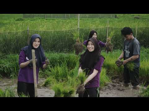 Video KKN mahasiswa UNP di Jorong Aia Tabik Periode Juli - Desember 2024